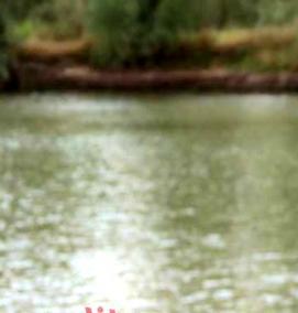 Закидушка с кормушкой - модель 4