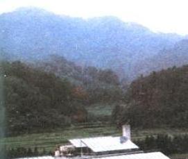 Защищенные теплицы - модель 2