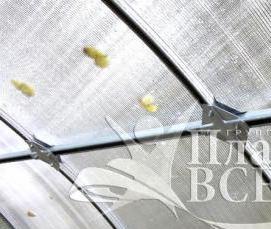 Заводские теплицы из оцинкованного профиля - тип 3