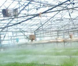 Зеленая теплица - тип 1