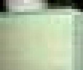 Зеленое дсп - вариант 1