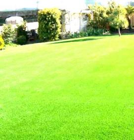 Зеленый газон - тип 4