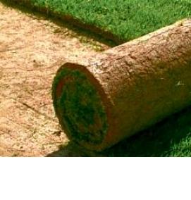 Зеленый газон в рулонах - тип 2