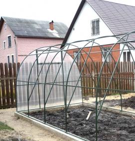 Зеленый поликарбонат для теплицы - вариант 1