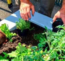 Земля для посадки рассады - вариант 1