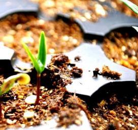 Земля для посадки рассады - вариант 2