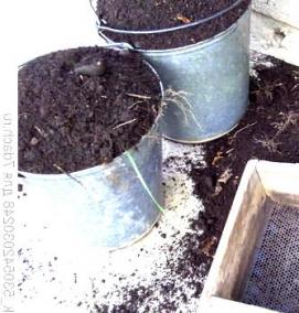 Земля в пакетах для рассады - вариант 3