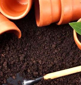 Земля в пакетах для рассады - вариант 2