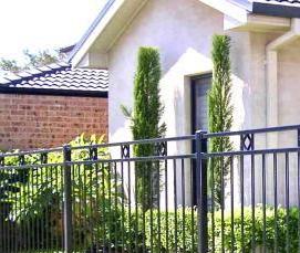 ЖЕЛЕЗНЫЙ ЗАБОР ЭКОНОМ