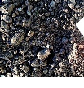 Желтый грунт - модель 2