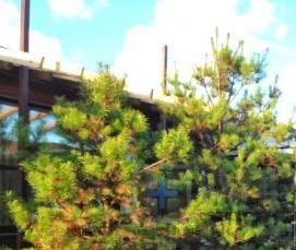 Зимнее остекление - модель 3