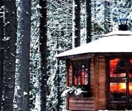 Зимние беседки с мангалом барбекю - вариант 3