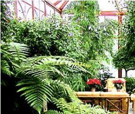 Зимние отапливаемые теплицы - модель 2