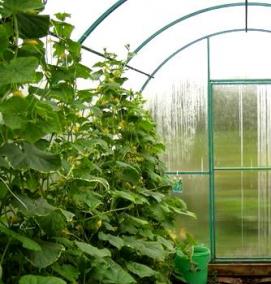 Зимний парник - тип 3