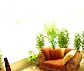 Зимний сад лофт - вариант 1