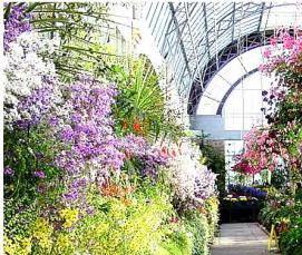 Зимний сад лофт - вариант 4