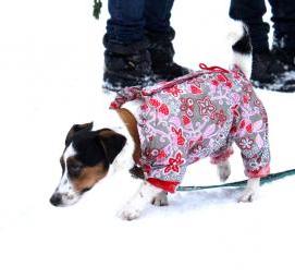Зимняя спецодежда для мужчин - вариант 4