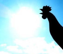 Золотой флюгер - тип 4