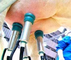 Аэрозольная дезинфекция воздуха - вариант 1