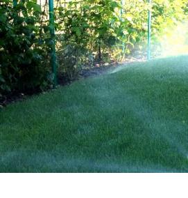 Автоматический полив растений - вариант 1