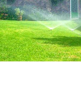 Автоматический полив растений - вариант 2