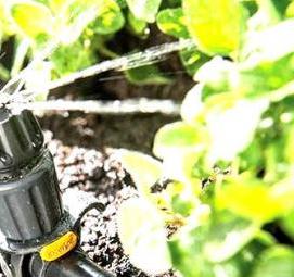 Автополив грядок - вариант 1