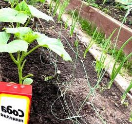 Автополив грядок - вариант 3