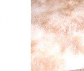 Бамбуковый ковролин - тип 4