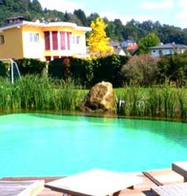 Бассейн искусственный водоем - тип 1