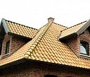 Кустодержатель для смородины из дерева Абакан