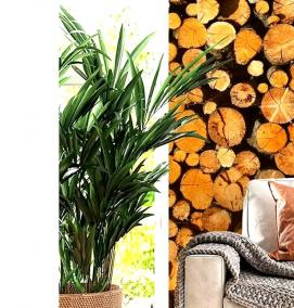 Бесшовные фотообои - тип 4