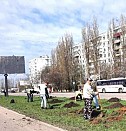 Благоустройство территории музея Брянск