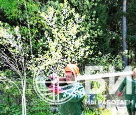 Бурение артезианских скважин на воду - тип 3