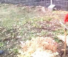 Бурение скважин мотобуром - модель 1
