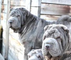 Бурение скважин с рассрочкой на 6 месяцев - тип 1