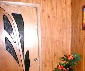 цветные дсп панели - модель 2