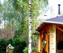 Дачные беседки барбекю - вариант 2