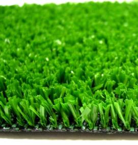 Декоративный газон - тип 1