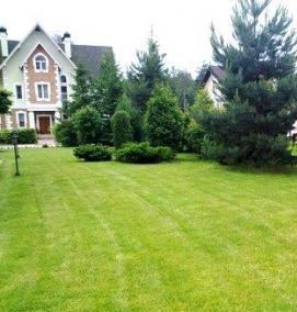 Декоративный газон - тип 4