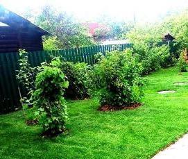 Демонтаж бордюрного камня - модель 1