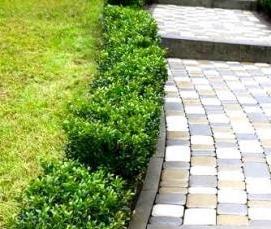 Демонтаж бордюрного камня - модель 4