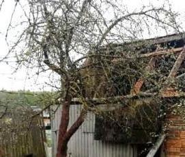 Демонтаж сарая - тип 4