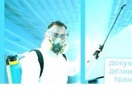 Дезинфекция автотранспорта для перевозки - модель 4