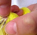 Дезинфекция водоснабжения Новороссийск