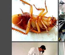 Дезинфекция помещений от вирусов - тип 3