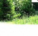 Колеса для садовой тележки бескамерные Хасавюрт