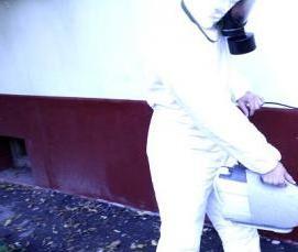 Дезинсекция холодным туманом - вариант 1