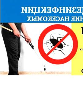 Дезинсекция клопов - модель 4