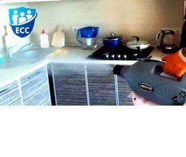 Дезинсекция помещений от тараканов - вариант 1