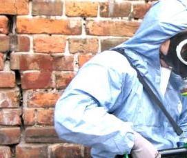 Дезинсекция помещений от тараканов - вариант 2